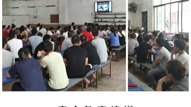 管理培训教材分类与命名规范：揭秘其背后的逻辑与标准